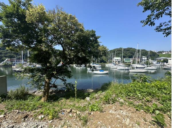 神奈川県三浦市三崎町小網代の土地