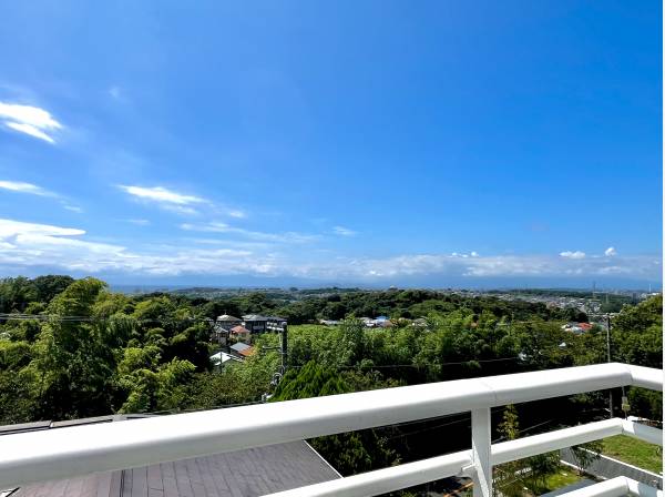 美しい緑と海と富士山を眺める現地です。