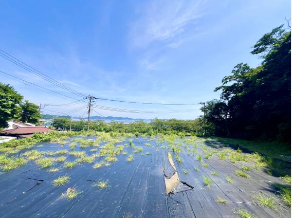 神奈川県三浦市南下浦町金田の土地