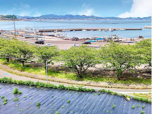 神奈川県三浦市南下浦町金田の土地