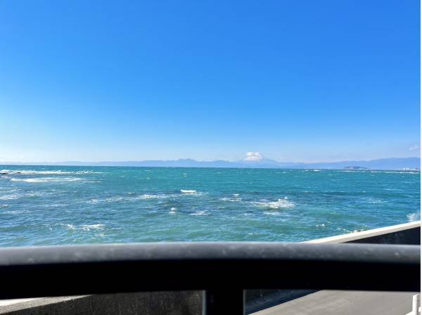 海、富士山、江ノ島を眺めます。