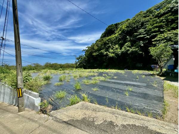 神奈川県三浦市南下浦町金田の土地