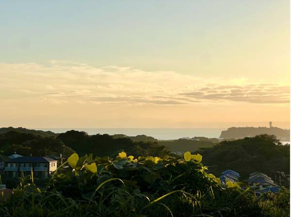 綺麗な夜景とともに海を臨む眺望！